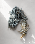 PRESERVED AMARANTHUS CAUDATUS - BLUE, TRAILING BUNCH, 55 CM, 150 GRAMS